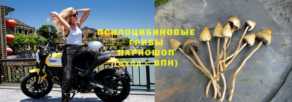 прущие крисы Баксан