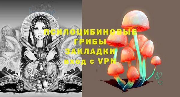 ALPHA PVP Осинники