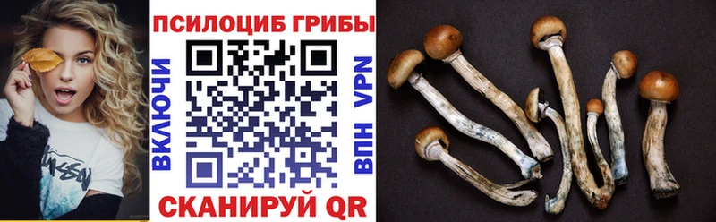Псилоцибиновые грибы MAGIC MUSHROOMS Чусовой